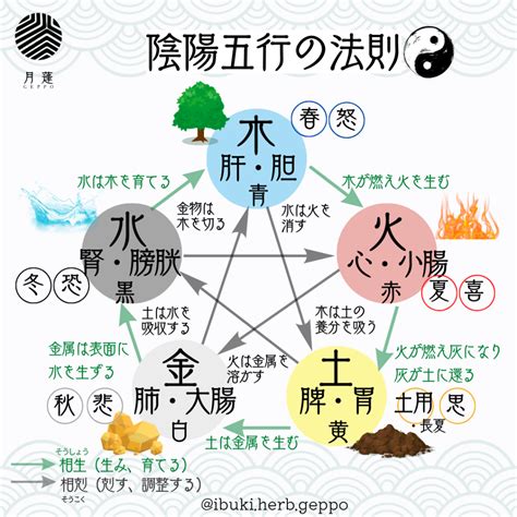 太陽五行|五行